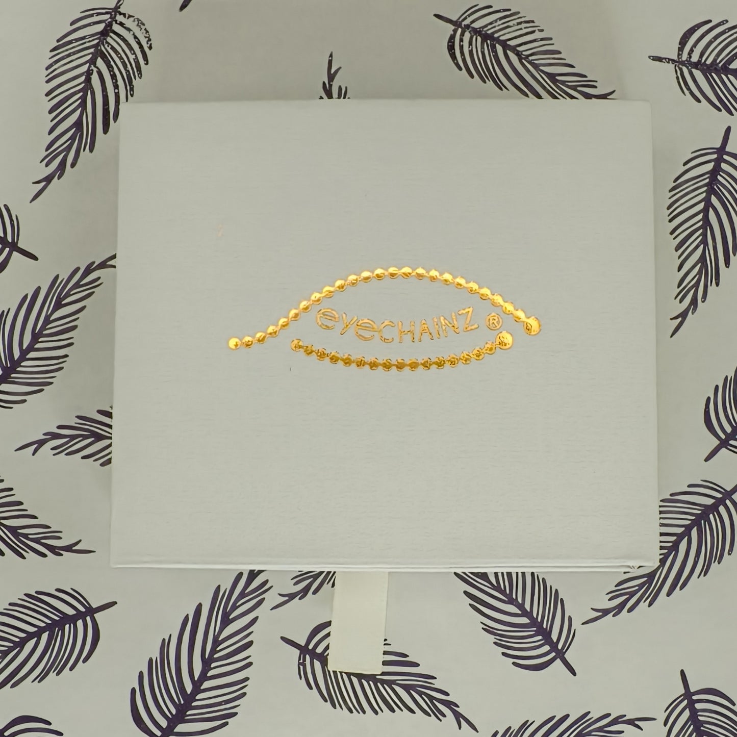 Eyechainz Branded Storage Box.